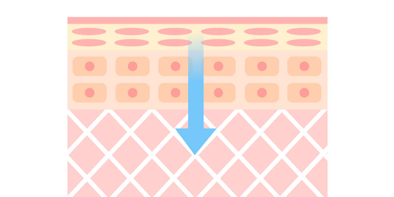 皮膚透過作用説明画像