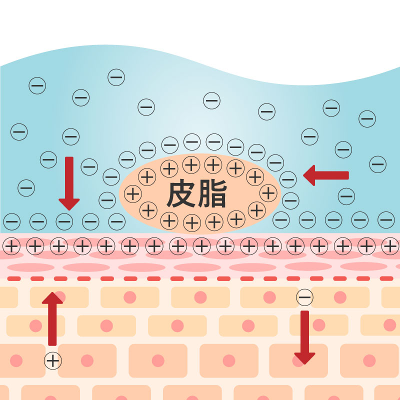 皮膚洗浄説明画像A