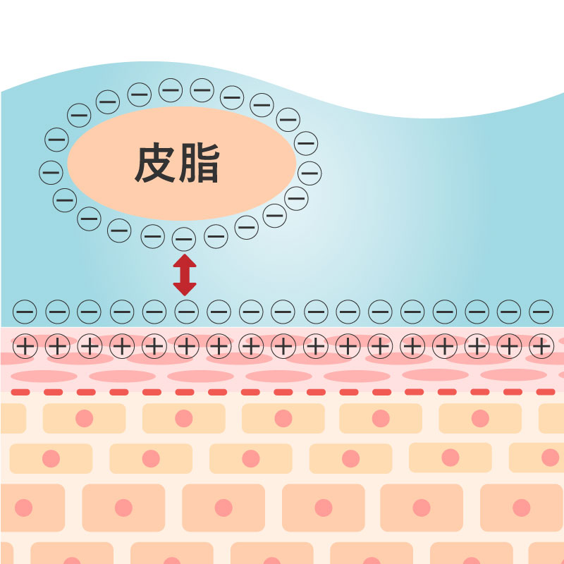 皮膚洗浄説明画像B